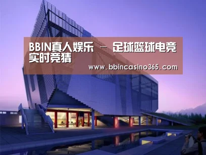 案例展示六