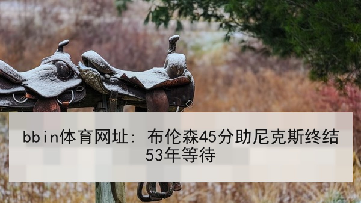 bbin体育网址: 布伦森45分助尼克斯终结53年等待 bbin体育网址: 布伦森45分助尼克斯终结53年等待
