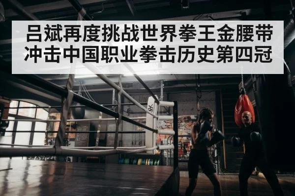 boxer training