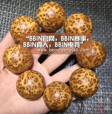 “BBIN官网,BBIN赛事,BBIN真人,BBIN电竞”重庆首套急倾斜中厚煤层综采设备落户逢春煤矿(图1) BBIN官网,BBIN赛事,BBIN真人,BBIN电竞
